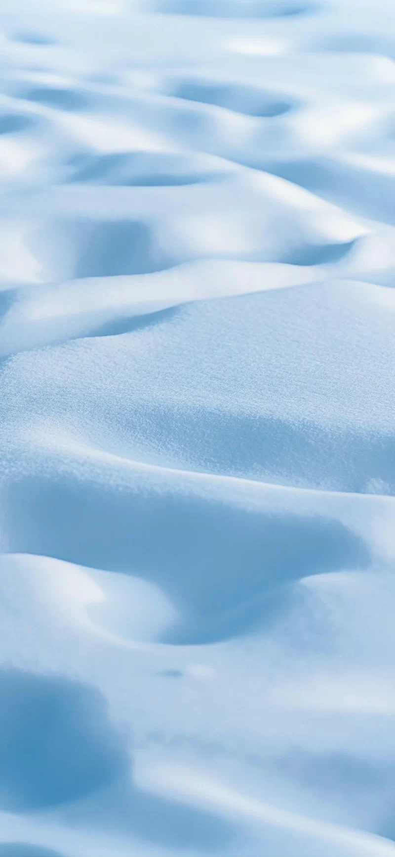 24-1简约手机壁纸10p