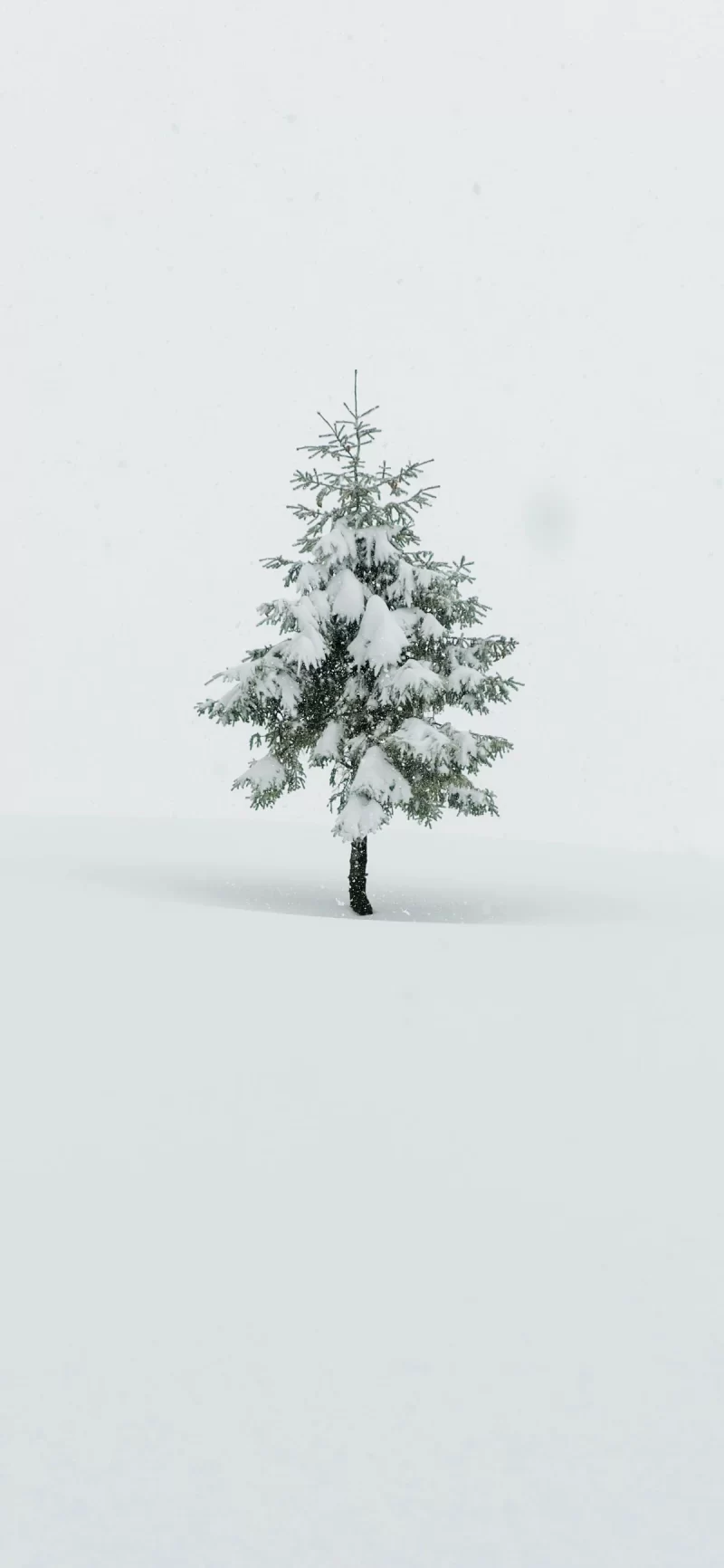 28-5简约手机壁纸10p