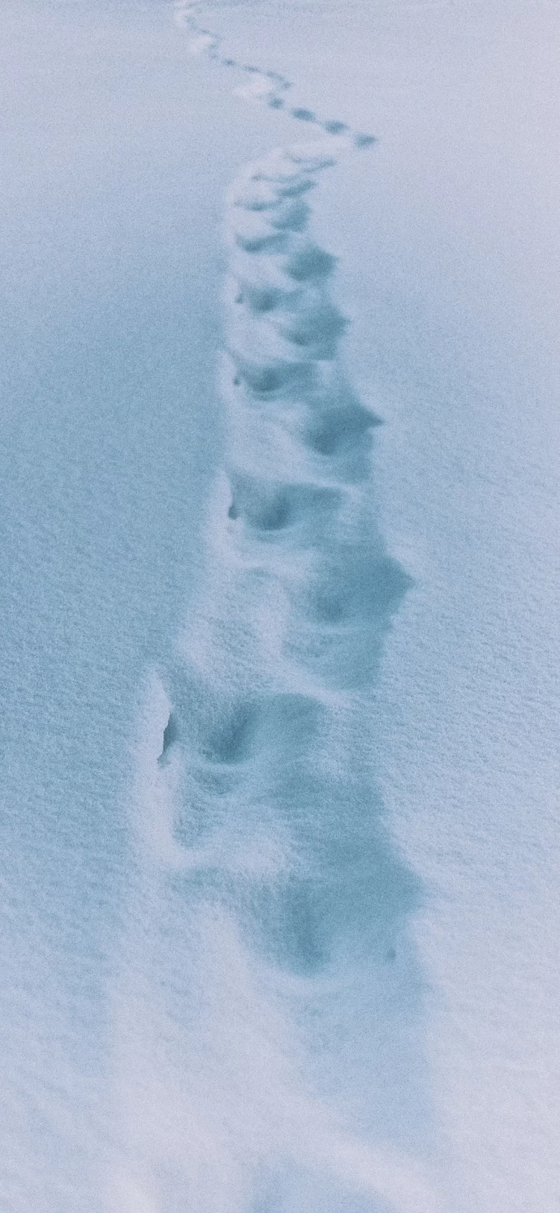 35-12简约手机壁纸14p