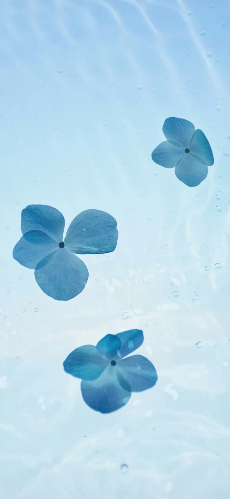 31-8简约手机壁纸10p