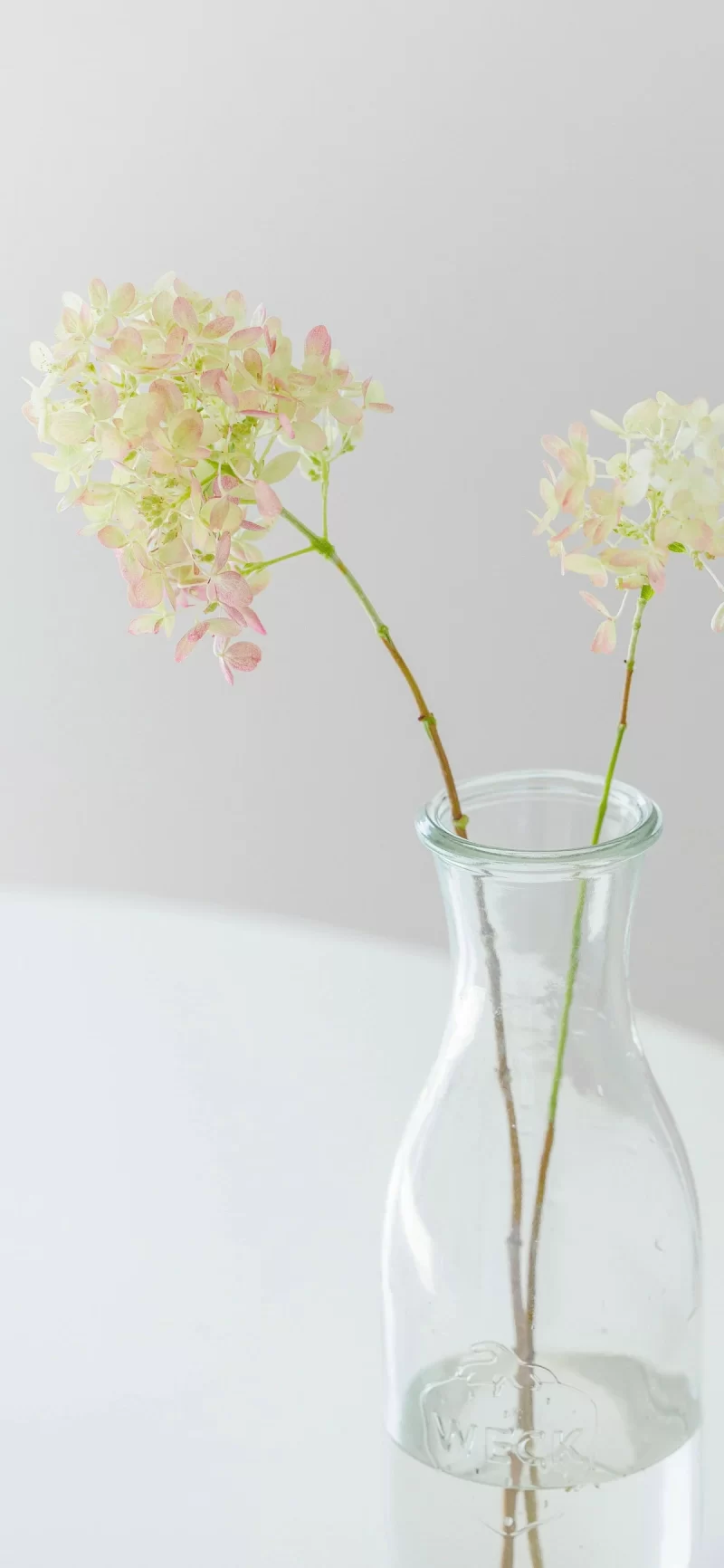 24-1简约手机壁纸10p