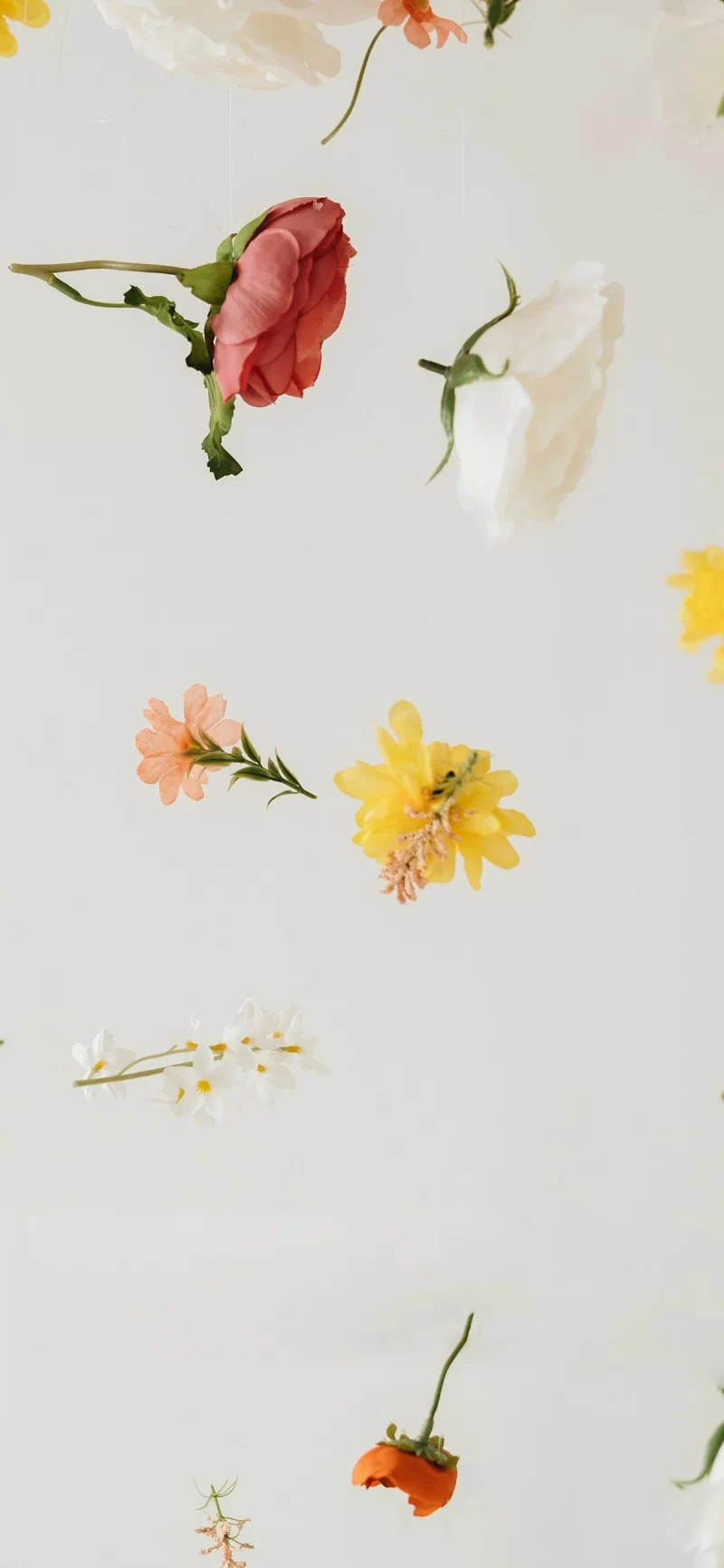 28-5简约手机壁纸10p