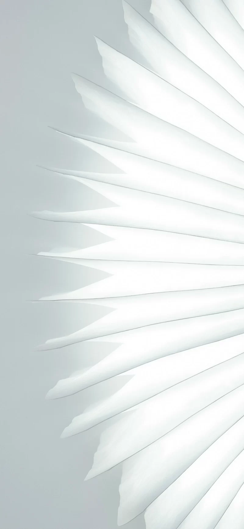 31-8简约手机壁纸10p