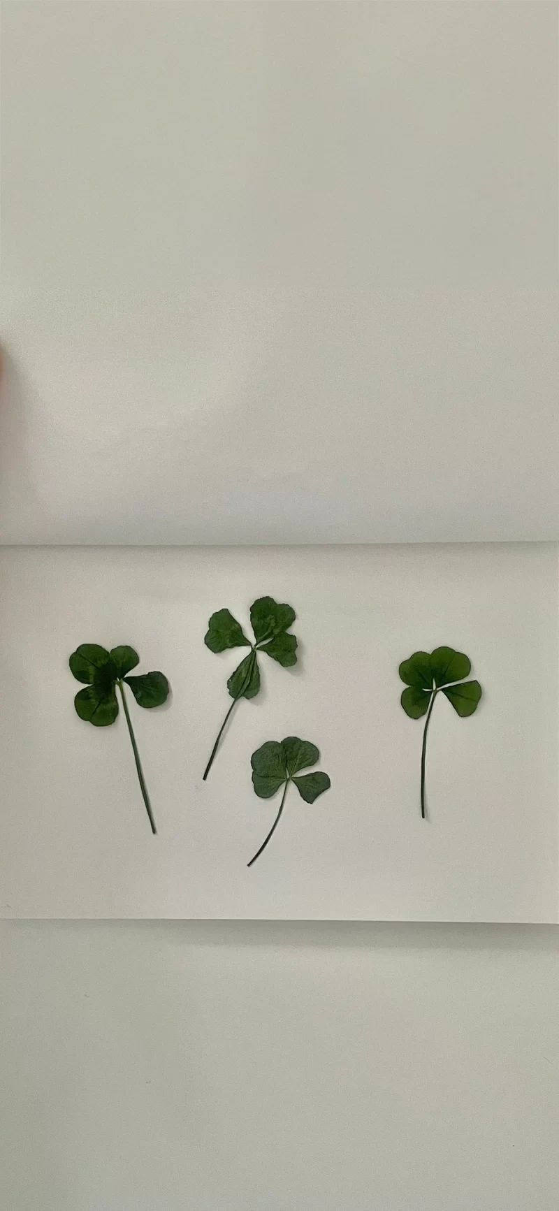 33-10简约手机壁纸10p