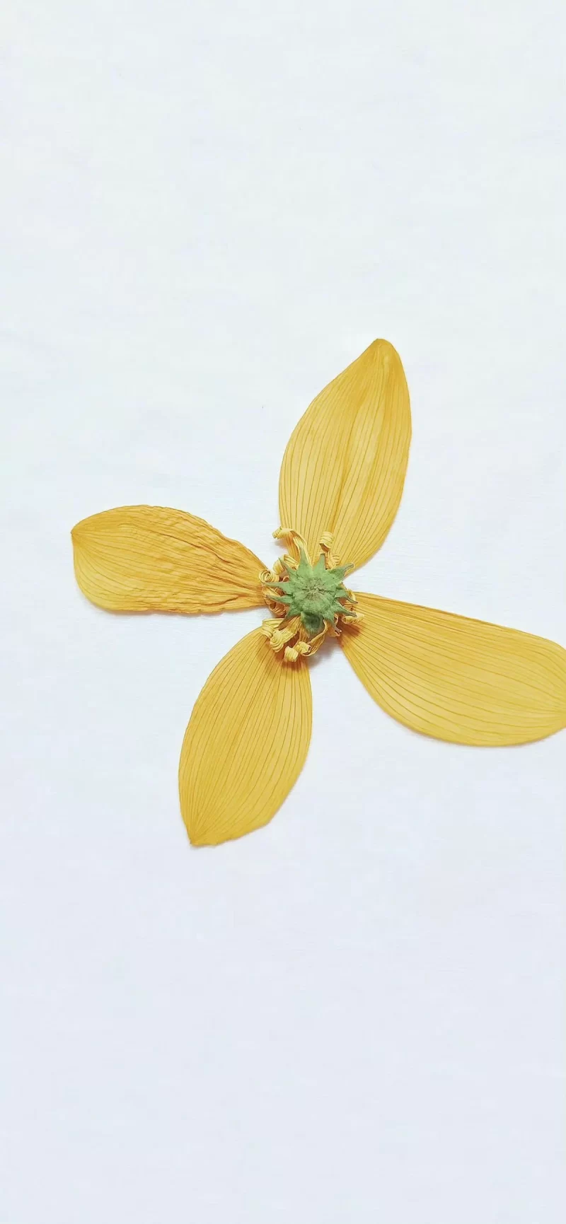 30-7简约手机壁纸10p