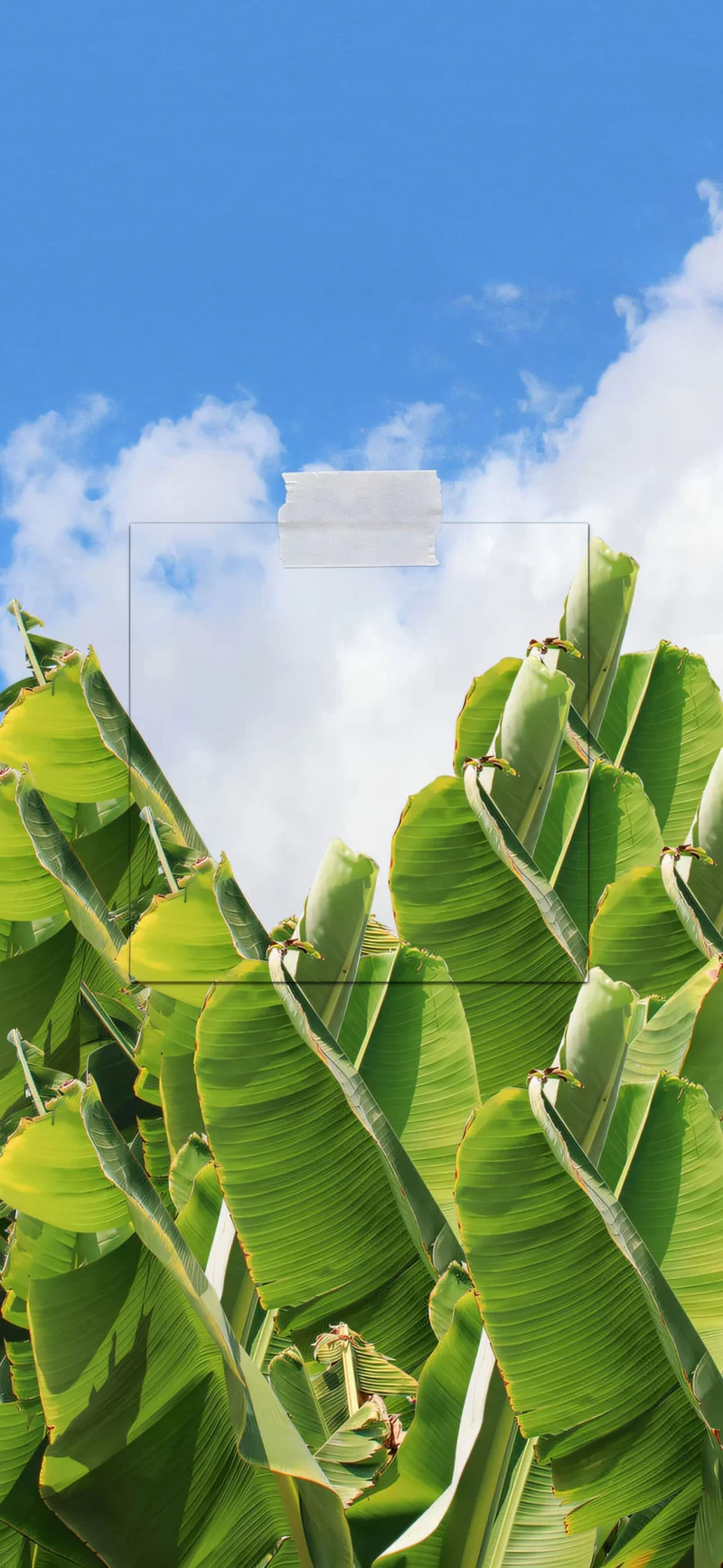 38-天空色彩 手机壁纸12p