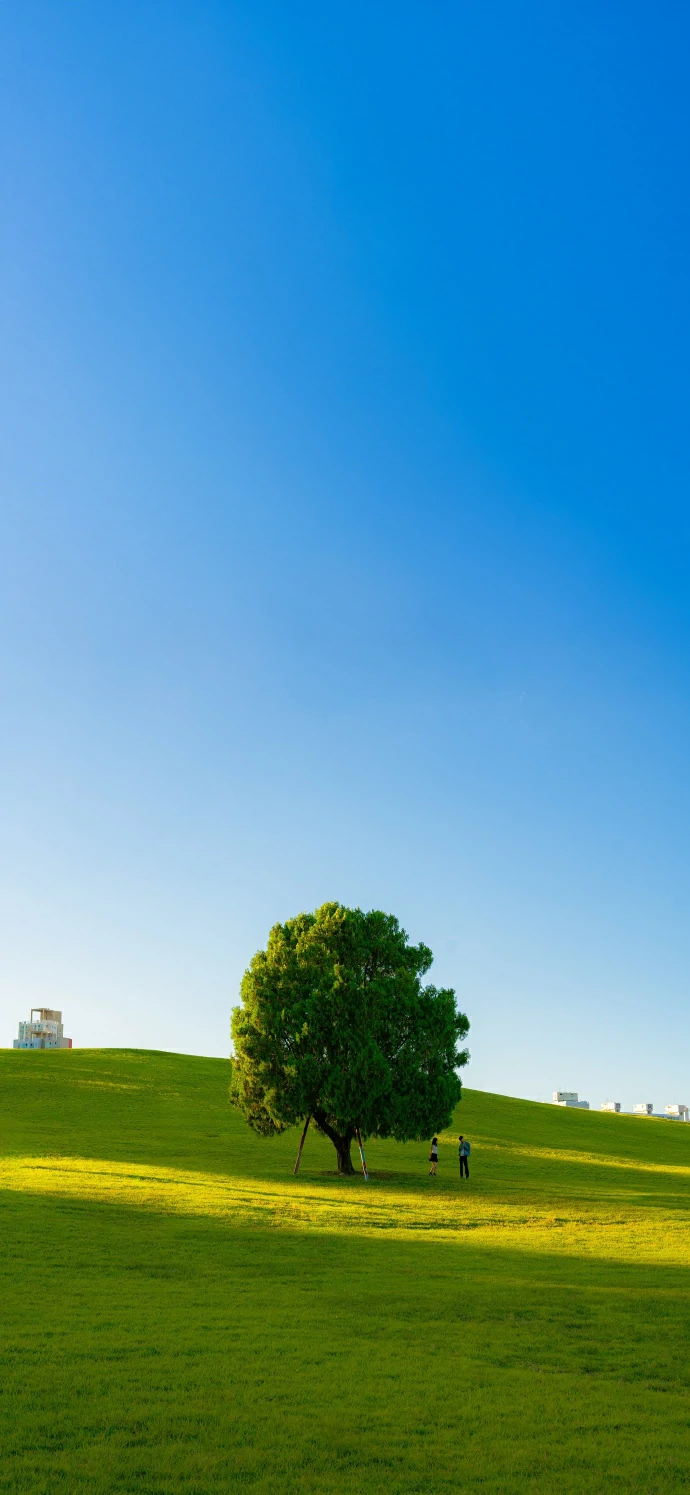 27-4简约手机壁纸10p