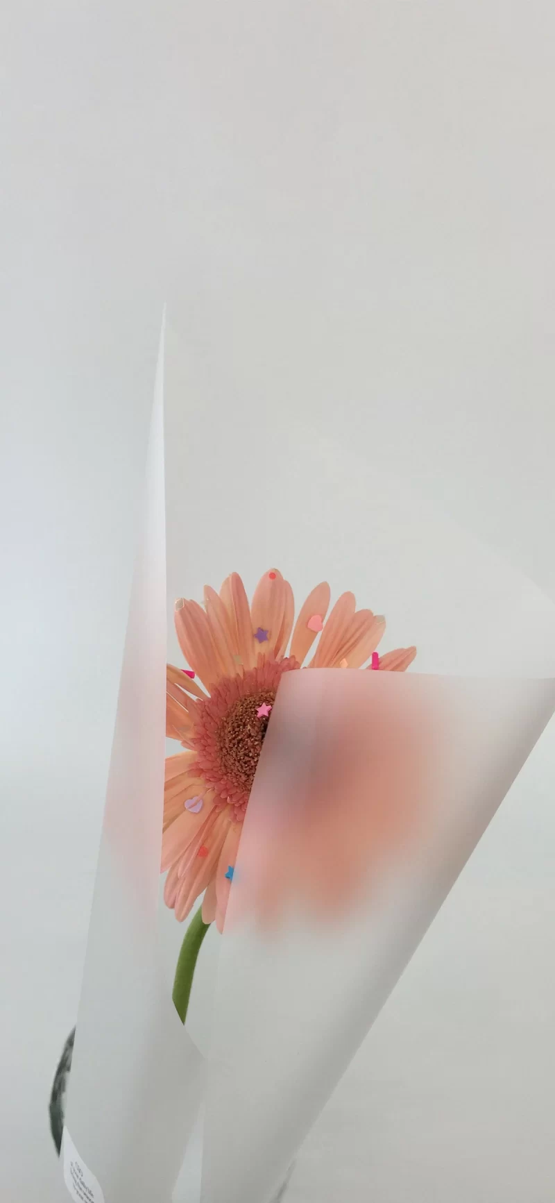 31-8简约手机壁纸10p