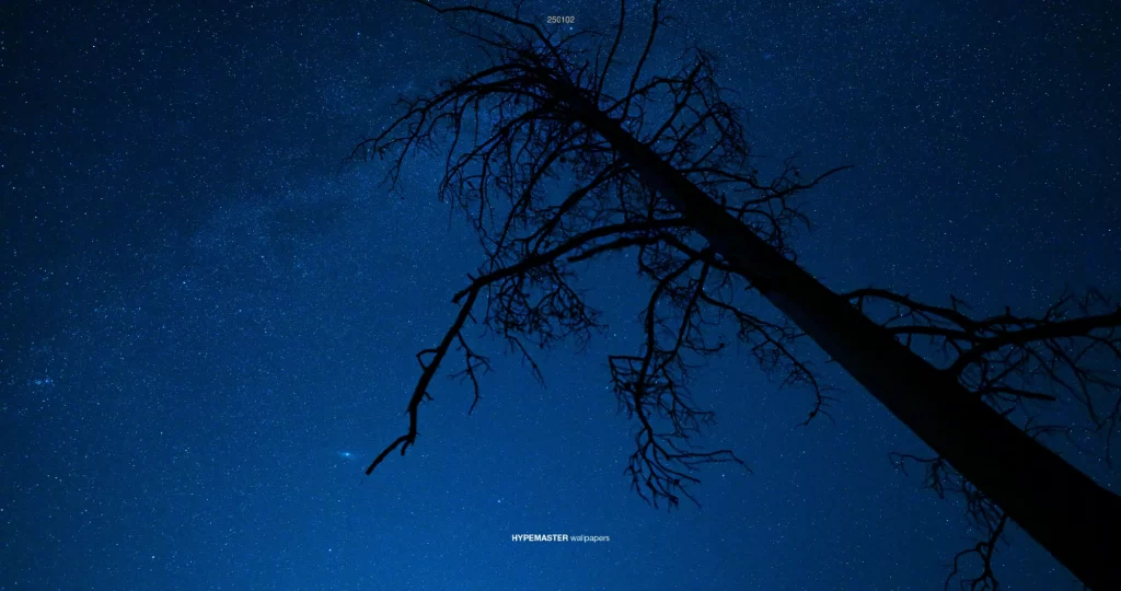 20-10p电脑壁纸风景