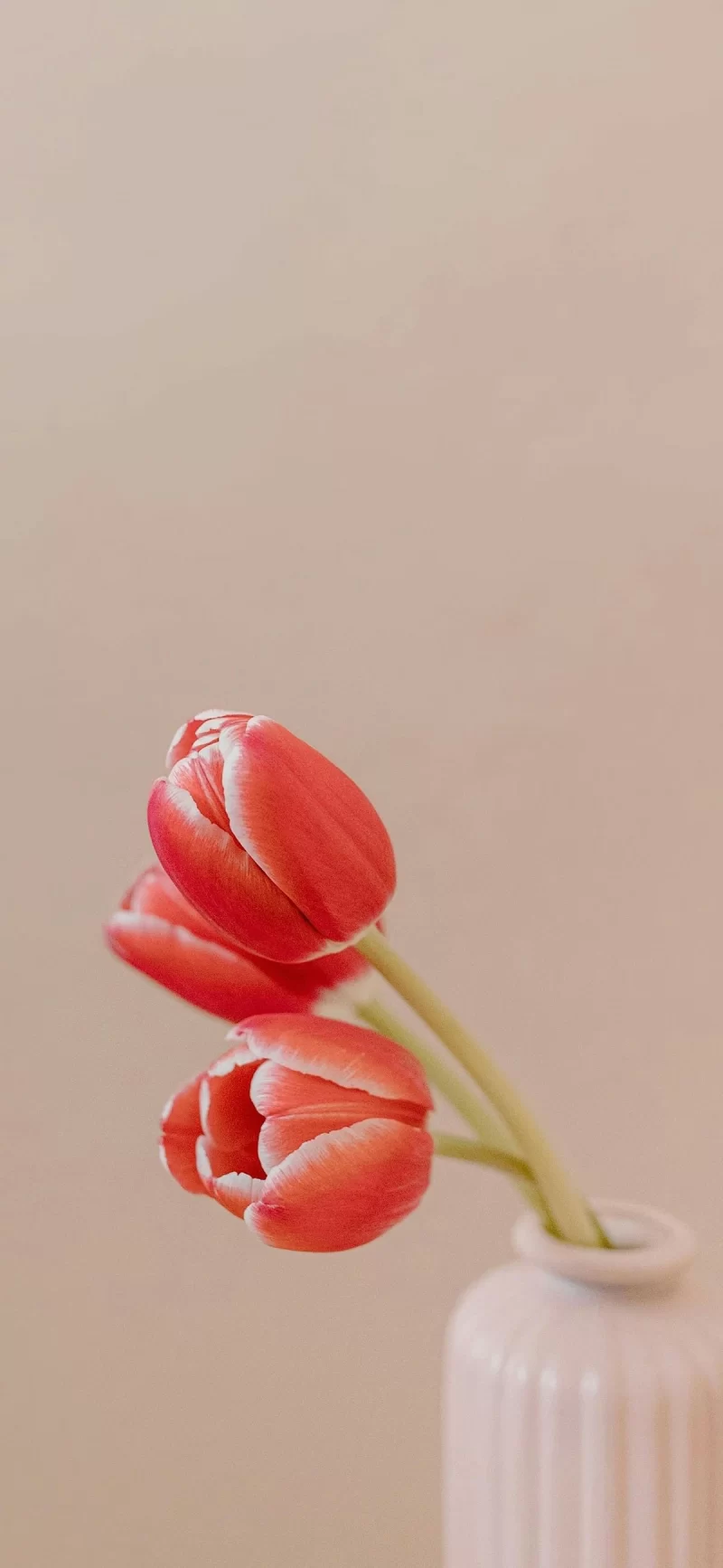 28-5简约手机壁纸10p