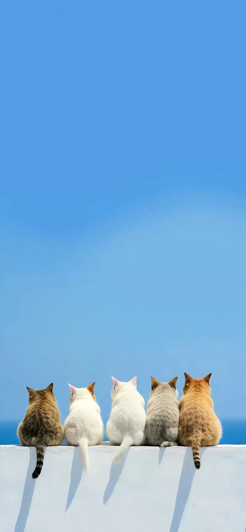 35-12简约手机壁纸14p